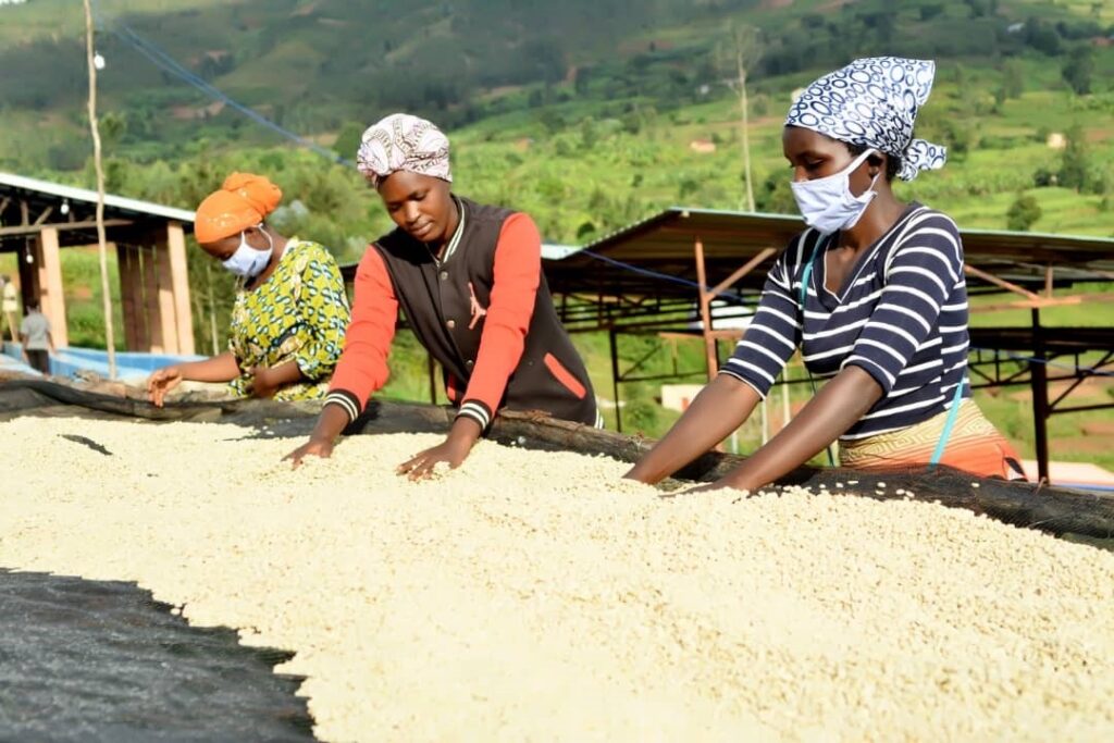 Tropic Coffe Company Rwanda