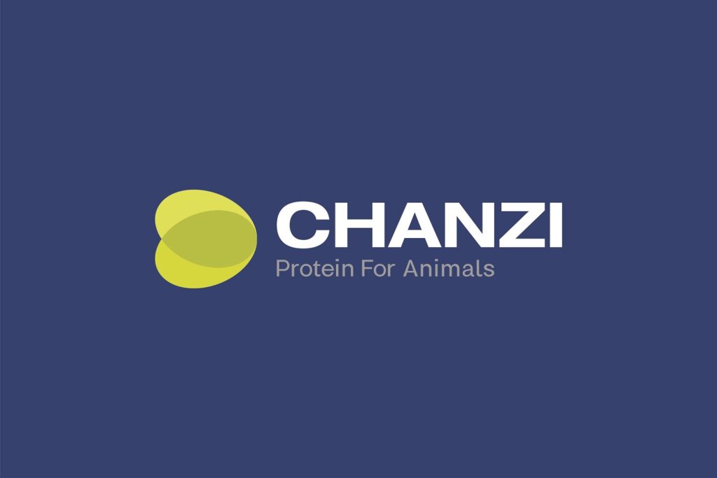 Chanzi Tanzania