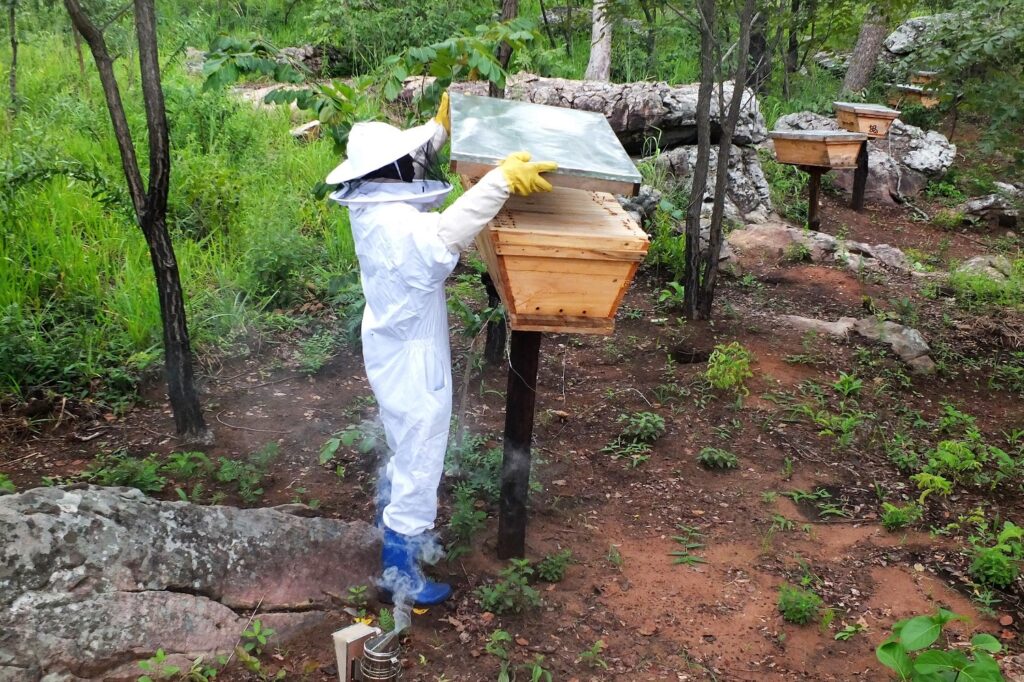 Third Man Ltd Tanzania - Upendo Honey