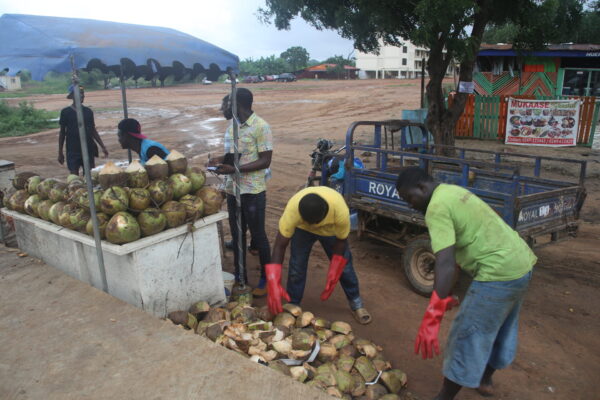 1. Coconut waste aggregation at a vending point
