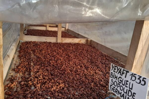 cacao bio ft traceable